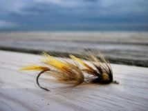 Two Umbrellas Two Umbrellas