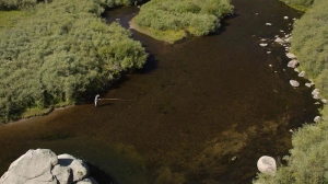 Fishing Eleven Mile canyon Fishing Eleven Mile canyon