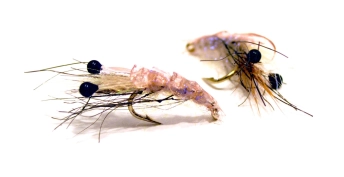 Pink Must Shrimp Pink Must Shrimp