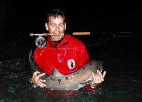 Playing a shark to the maximum, means they are full of life when landed. Playing a shark to the maximum, means they are full of life when landed.