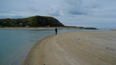 The estuary The estuary