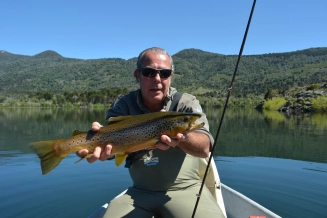 Pulmarí lake brown trout Pulmarí lake brown trout