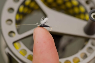 Hand or finger Hand or finger