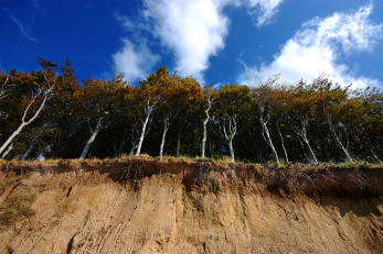 Perspective Perspective