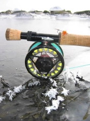 A bit of fill A bit of fill