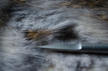 A tuft cut with scissors A tuft cut with scissors