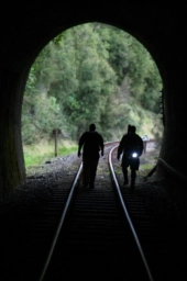 The track home The track home