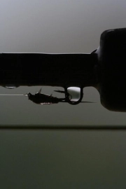 Pheasant tail nymph Pheasant tail nymph