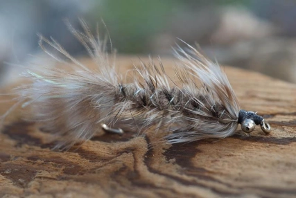 Plain Frede Plain Frede