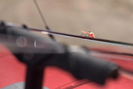 Rod and fly IV Rod and fly IV