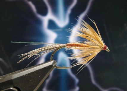 Klympen on X Klympen on X