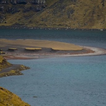 A view of the fjord A view of the fjord