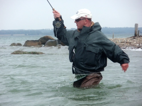 The neat line tray The neat line tray