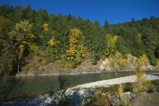 Notice the angler Notice the angler