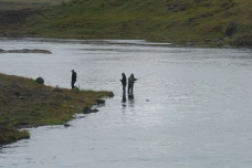 Rod sharing Rod sharing