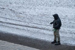 Fishing from the shore Fishing from the shore