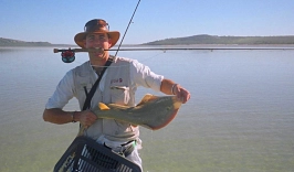 Another sand shark in Langebaan lagoon Another sand shark in Langebaan lagoon