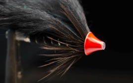 Color, shape and weight Color, shape and weight