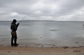 Ready to land Ready to land