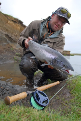 A large colored hen A large colored hen