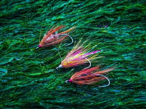 Color variations Color variations