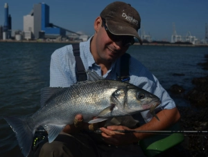 Industrial fishing Industrial fishing