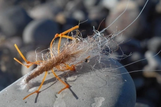 In the sun In the sun