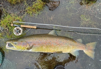 One meter plus One meter plus