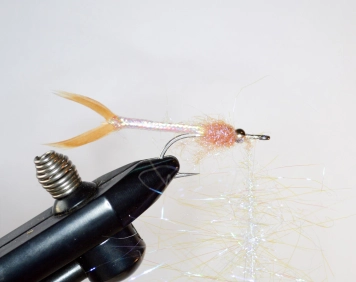 Speedy - step 4 Speedy - step 4