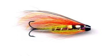 Gaula Parsons Gaula Parsons