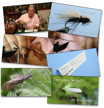 Mayflies and More Mayflies and More