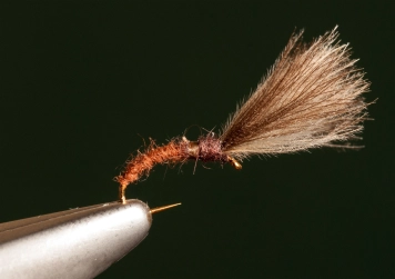 BWO Emerger BWO Emerger