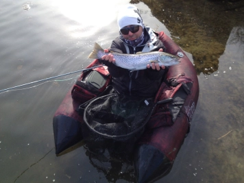 David âSidâ Cheraghi David âSidâ Cheraghi