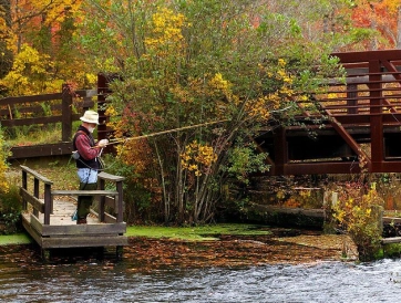 Fishing in New York Gallery Fishing in New York Gallery