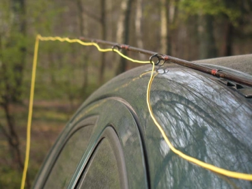 Well kept lines Well kept lines