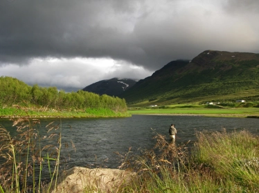 It's a beautiful day It's a beautiful day