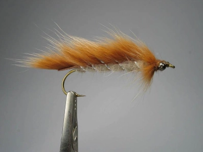 Straight on Straight on