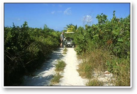 Almost off road Almost off road