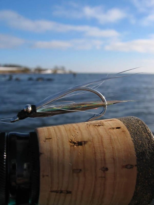 Clouser out there Clouser out there