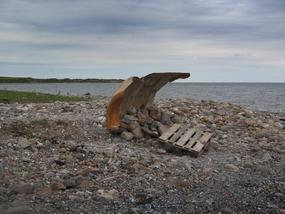 The shelter The shelter