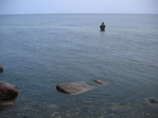 Cat days? - image Cat days? - image