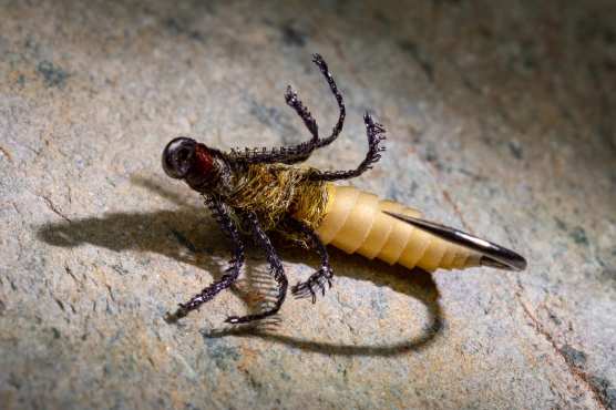 Showing legs Showing legs