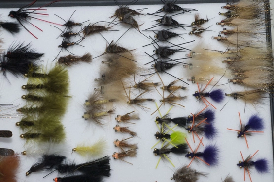 Carp fly box Carp fly box