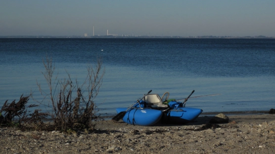 It does look attractive It does look attractive