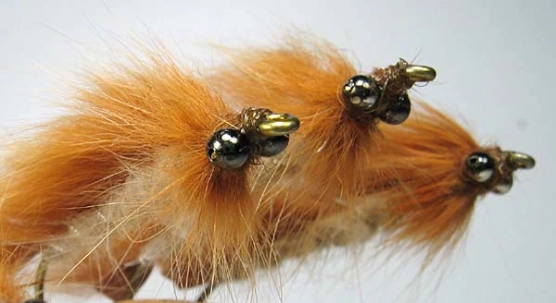 Eyes for you Eyes for you