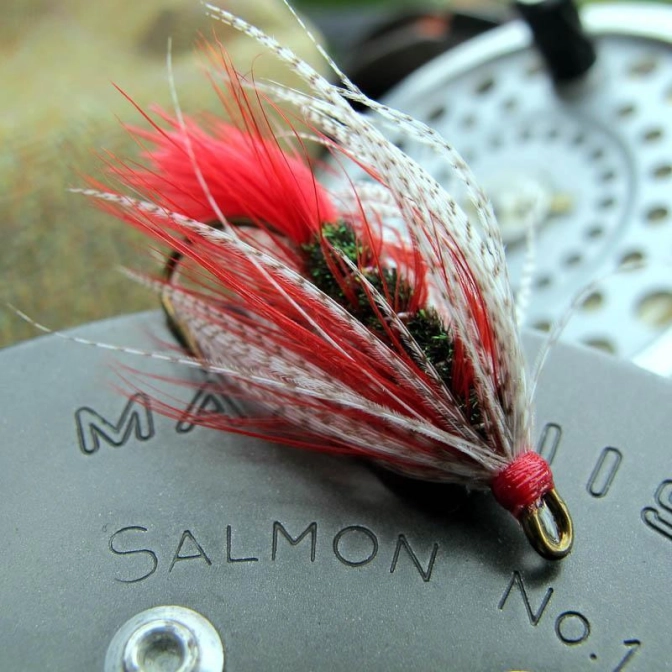 On the reel On the reel