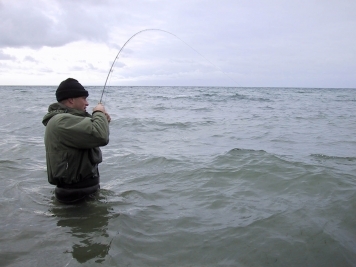 Under control Under control