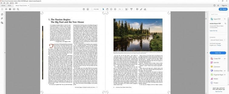 Nexus as a PDF Nexus as a PDF