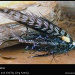 #87 hilton Boss - Cory Koenig #87 hilton Boss - Cory Koenig