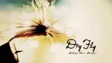 Video thumb for Dry Fly